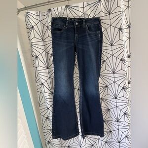 Silver Jeans Flare Wide Leg Denim